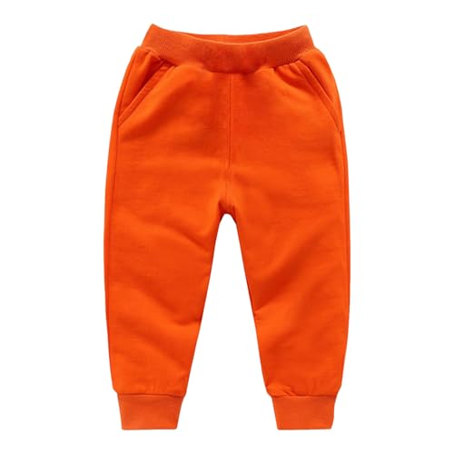 [hvreiop] XEGbgpc LbY j̎q N g ۉ WK[pc ̎q Xgb` _炩 K q Opc EGXgS JWA Y{ n Vv W[W   tH~ X|[c ʊw ʉ(I