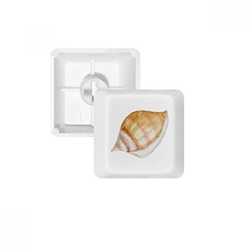 Keycaps PBT mécanique blanc motif escargot marin profil OEM