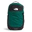 Evergreen/Tnf Black