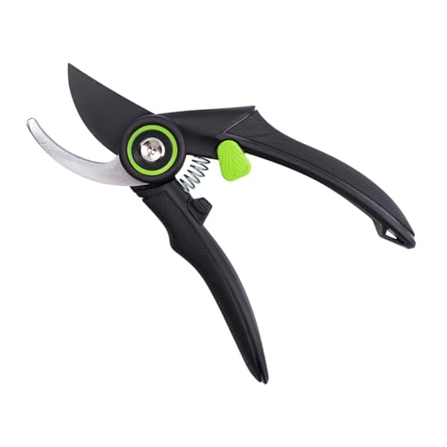 Yf|lԍHwɊÂnh̙͂݁A̐A؂̂߂̉KȃObvtA`XbvObv