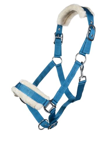 Posten 11796 - Cavezza turchese