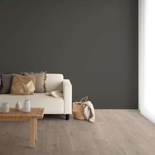 ǎ{ ̂t ǎ c̏ NX n Y25-2946 i`O O[ 92cm×mPʁy󒍐YiLZsz