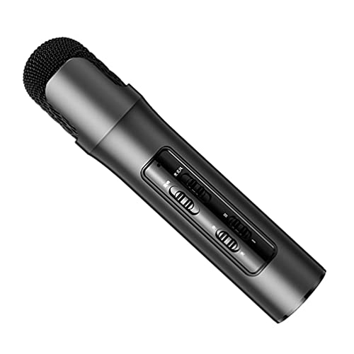 Microfonos Para Cantar En Vivo