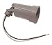 Raco #5606-0 Grey WP Porc Lampholder