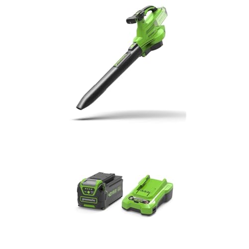40V Akku-Laubsauger/Laubbläser Greenworks mit bürstenlosem...