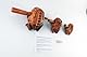 Guiro Percussion Musikinstrumente Holz 3-teilig 3er Set Naturholz Güiro Frosch 10-8-5cm