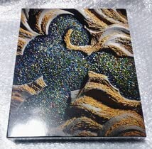 Amazon.co.jp: ダニエル・オスト in JAPAN Floral Art of Twenty