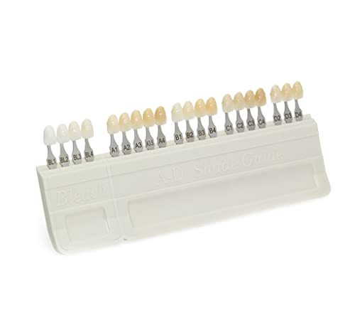 20 couleur Dents Dentaires Shade Guide Porcelaine Matériel Conseil Denture Blanchiment Des Dents Blanchiment À Base De VITA