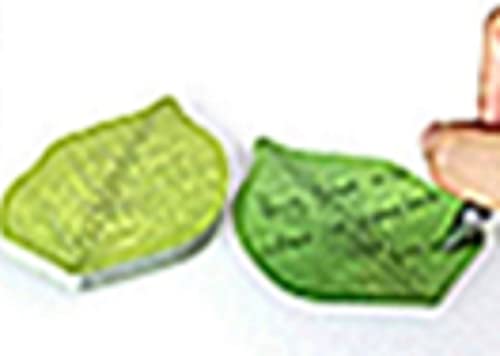 Generic 葉っぱ型 粘着メモ帳 5冊セット ? 本物そっくり 可愛いデザイン 貼り付け可能 ノート用品