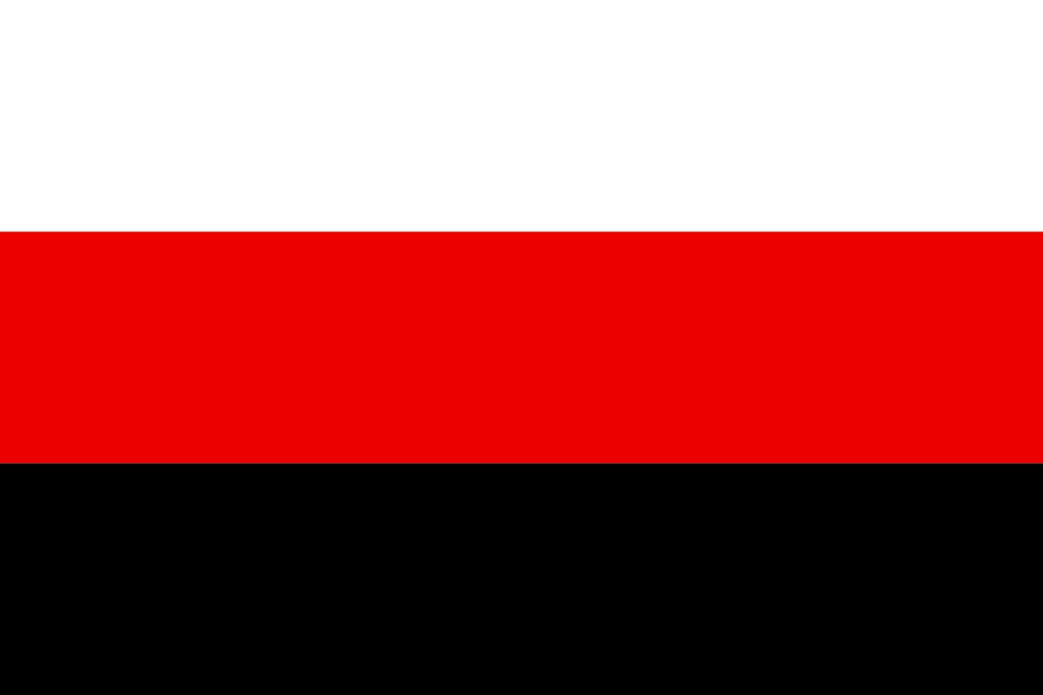 Drapeau Partit Llibertat Bielorus avec œillets métalliques et coutures renforcées