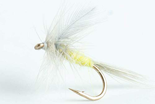 Blue Wing Olive Sulphur Dun Dry Fly, 6-Pack (16)