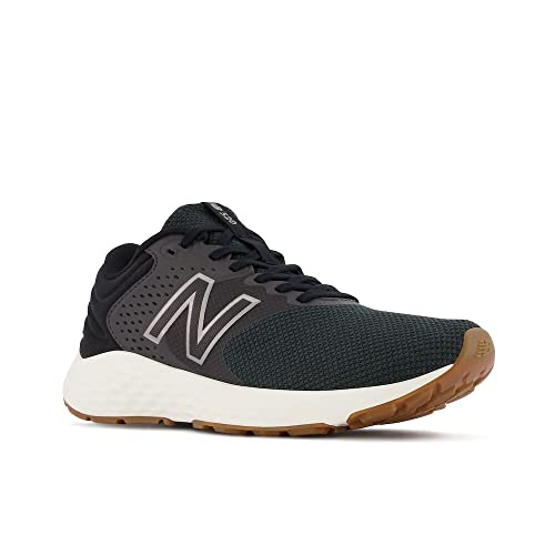 Image of New Balance Women's 520 V7 Running Shoe, Phantom /White, 8