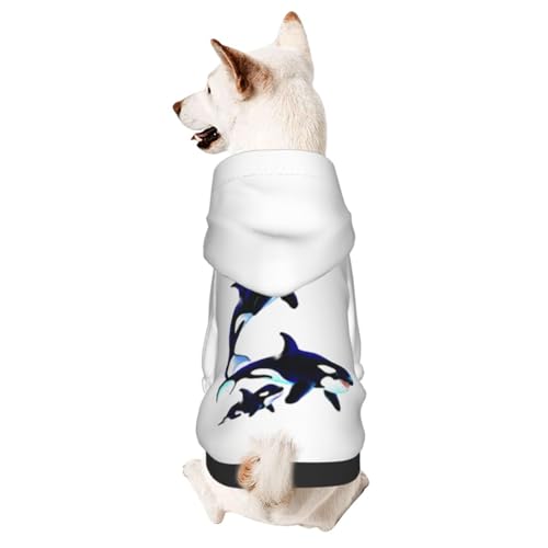   V` p[J[ ybg ̕ p ybgp ^ m L H~ ~ ۉ h h _炩 g hbOEFA ybgEFA Eѕی U o  lC t@bV 