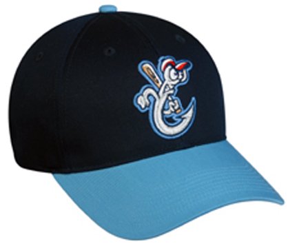 The 10 Best minor league baseball hat  In 2022