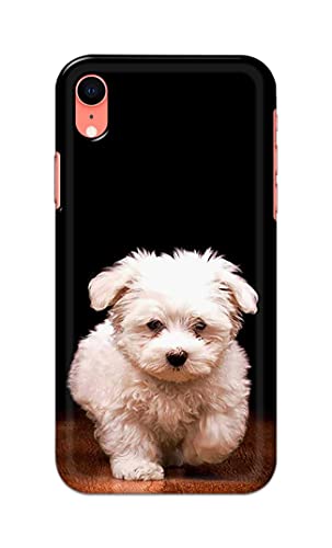 Image of PRINTFIDAA� Printed Hard Back Cover Case for Apple iPhone XR Back Cover (Puppy Dog) -2808