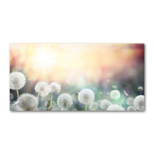 Dosseret en verre fleurs de pissenlit pour illuminer la cuisine