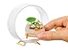 MGA's Miniverse - Make It Mini Nature Series 2 Mini Collectibles, Mystery Blind Packaging, DIY, Crafts, Resin Play, Replica Plants, Replica Animals, Mini Flowers, Botanicals, NOT Edible, Collectors