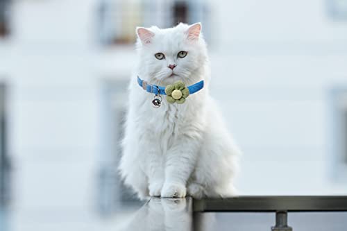 Cat Collar With Flower,Cat Collars For Girl Cats And Boy Cats,Breakaway Cat Collar With Bells,Adjustable Kitten Collar,Cute Cat Collar (Blue, Breakaway) #TOP6