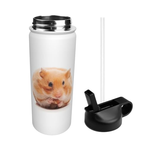  nX^[ X|[c{g @r e q l  Xg[t ۉۗ  v[g Mtg