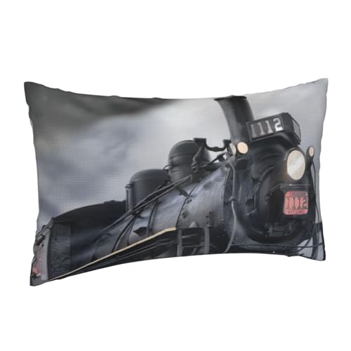 Taies d'oreiller en lin imitation train sans pli