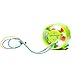 ApisQueen 12V~16V Underwater Thruster U1 Set, with ESC and RC, 7.5LBS Thrust Brushless Underwater Motor Subsea Thruster for ROVs Boats