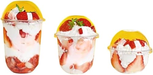 SLLS ĝăvX`bNJbv Wt  ptFJbv h[^ Xv[t fU[g ACXR[q[ eCNAEg