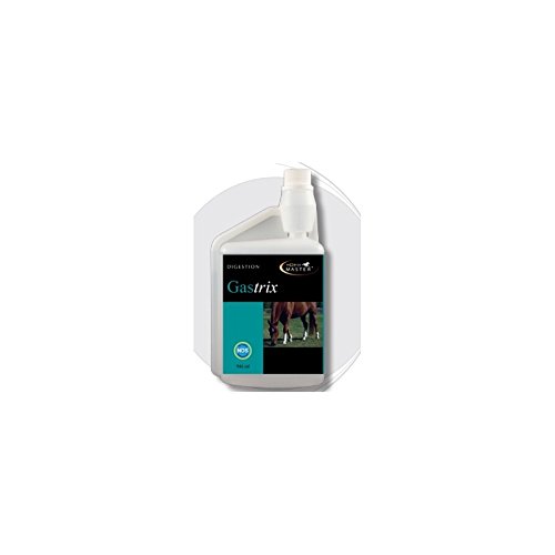 Horse Master Gastrix 3,780 lt - Mangime complementare per Cavalli Indicato per Il Benessere dell’apparato gastrointestinale. Prodotto in Francia ed Importato e distribuito in Italia da Chifa.