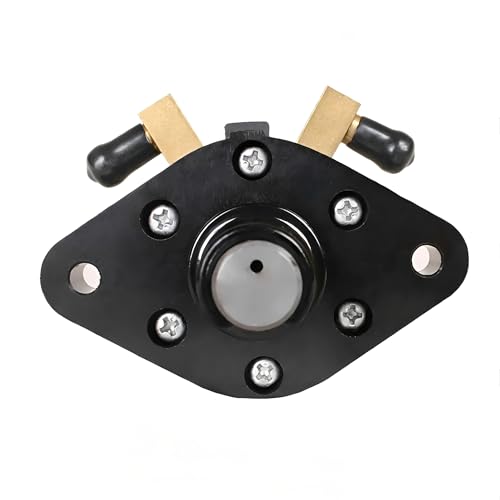 Bomba combustible Evinrude Johnson 40HP para travesías seguras en mar