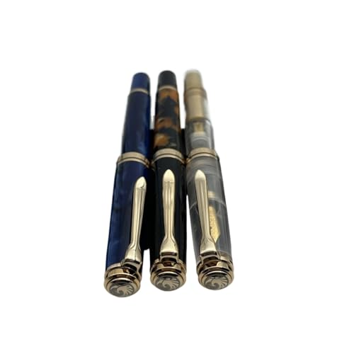 Stylo plume à piston en acrylique pour sublimer vos carnets de notes et projets créatifs - 5
