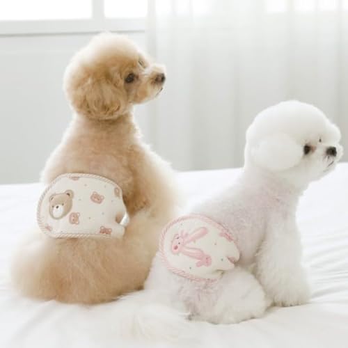 RITOGATOigKgjI[KjbN}i[xg STCY J[FsN