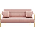 Yaheetech 56.5" W Modern Sofa Small Sofa Luxurious Velvet Fabric Couch with Gold-Tone Metal Arms and Legs for Living Room, Home Office, Studio Pink