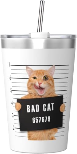 @r  L lR ^u[ 350ml XeX WƃXg[t ^fMRȂ ^  q ʋ ʊw 킢  v[g