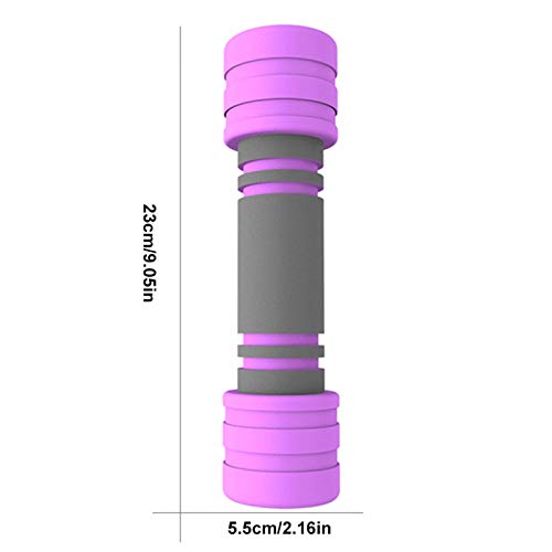 Manubri Palestra, 2PCS Pesi Palestra Manubrio