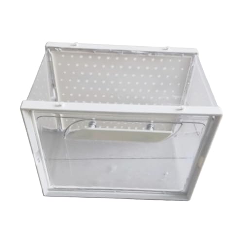 STARTIST ঒ރeE ঒ރP[W JeE yʋa{bNX T Xb|pRei, S