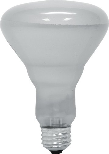 GE 20330-6 45 Watt Floodlight BR30 Light Bulb, Soft White, 6-Pack