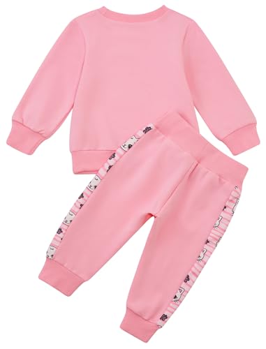 Image of Toddler Baby Boy Girl Clothes with Pockets 2PC Long Sleeve Pullover Sweatshirt and Pants Infant Fall Winter Outfit