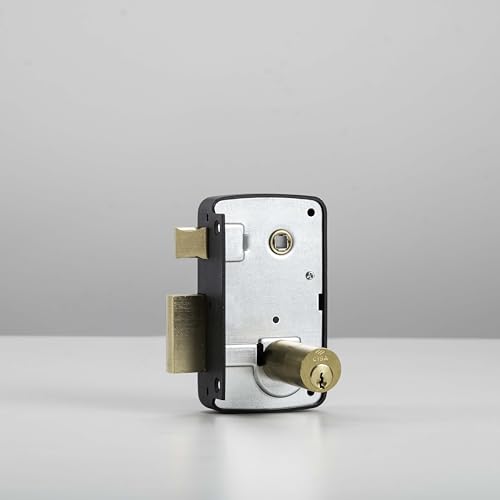 CISA 50211 Portoncino Legno Lock, Nickel Plated - Image 4