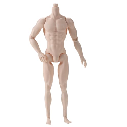 1/6 Scale Action Figure, 6" Multi Jointed Movable Male Muscular Action Figure Body for Display Collection, Beige