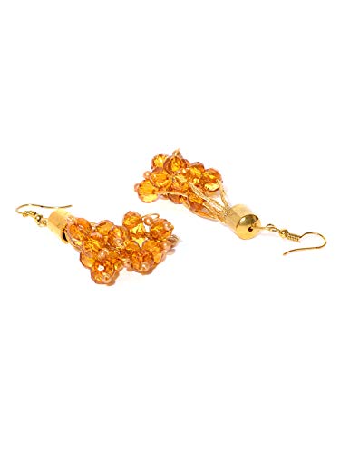Ethnic Dangler Earrings (ZPFK8270)