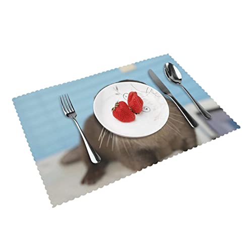 Cute Otter Placemat For Holiday Party Table Decoration Heat Resistant And Waterproof Wipeable, 18X12 #TOP16