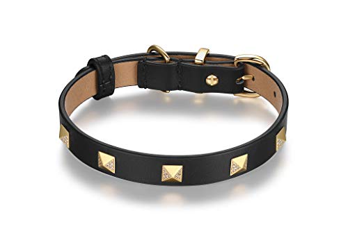 Scamper & Co Hundehalsband aus echtem Leder mit Mikrofaser-Schmucksteinen, Pyramidenbesetzt, 40,6 cm, Schwarz
