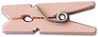 LWR CRAFTS Wooden Mini Clothespins 15 Colors 100 Per Pack 1" 2.5cm (All)