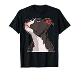 Amanti Dei Cani Molossi Amore Per Pitbull