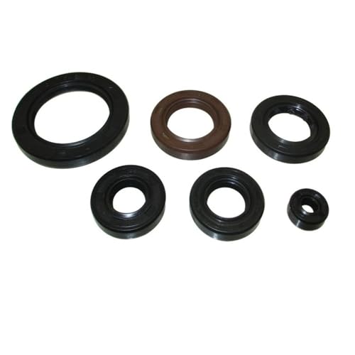 Retenes de aceite motor CG250 250cc para quad ATV y moto de campo dirt bike 3