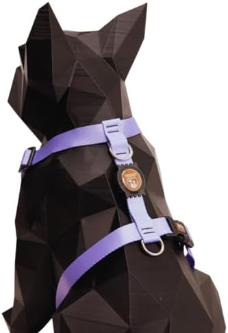 Coleira Peitoral Para Cachorro Com Guia Resistente (Lilas, P)