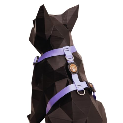 Coleira Peitoral Para Cachorro Com Guia Resistente (Lilas, P)