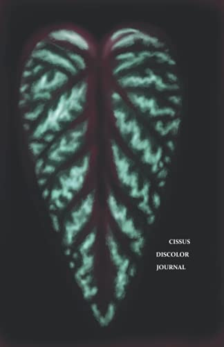 Cissus Discolor Journal (Botany Journals)