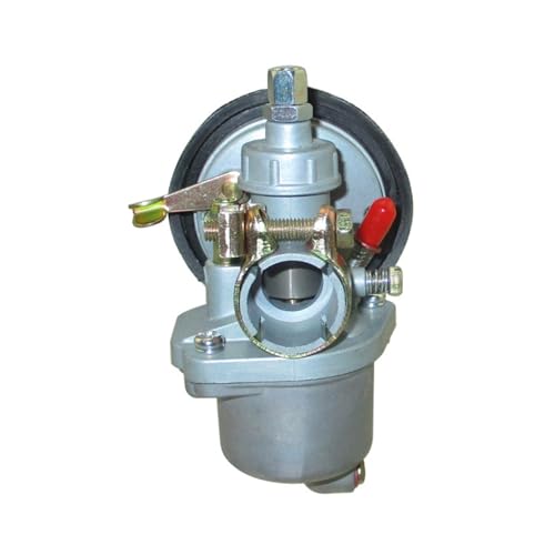 Carburador de 19mm para bicicleta motorizada de 2 tiempos y repuestos de motor de 50cc 60cc 80cc