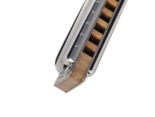 Harmonica Diatonique Suzuki Manji M-20 Low C - Clé Basse Do, 10 Trous - Pour Blues, Rock