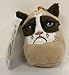 Official Grumpy Cat 3